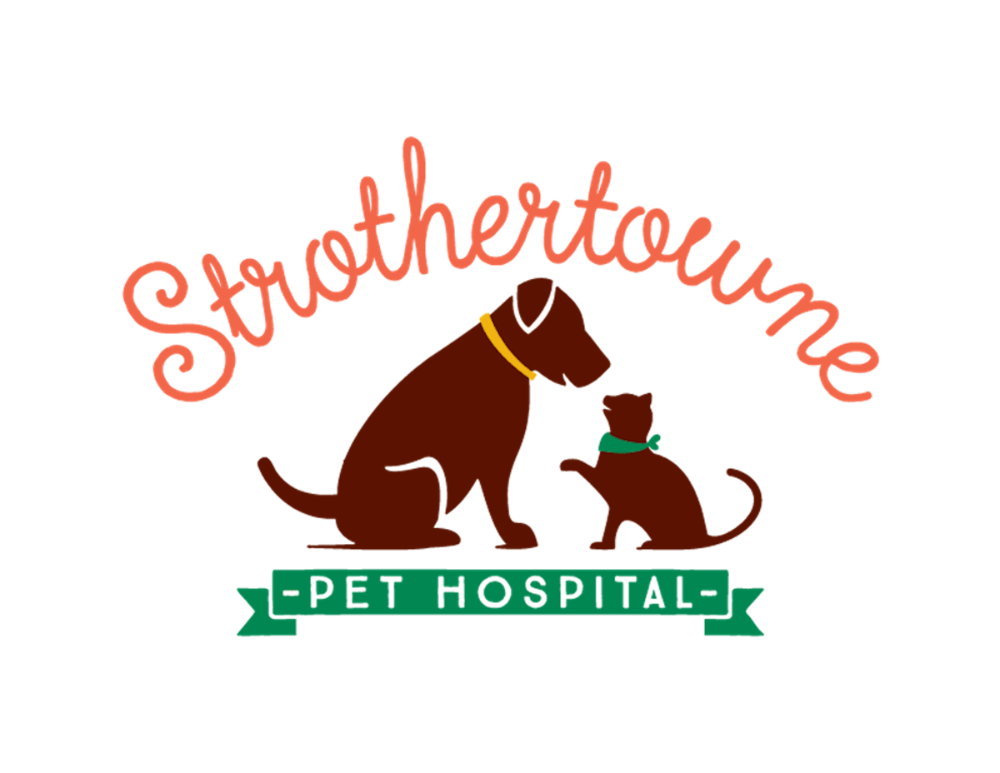 Strothertowne Pet Hospital | Lee's Summit, MO | Veterinarian