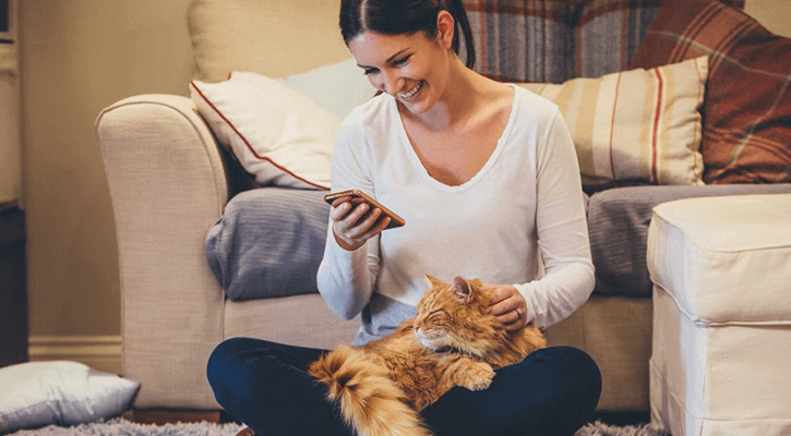 A woman looking for prescription cat food online with her cat in her lap
