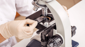 A microscope being examined