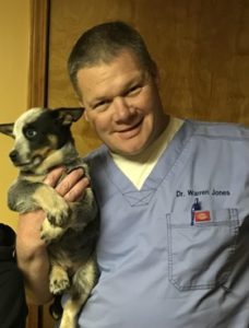Meet Our Veterinarians | Strothertowne Pet Hospital